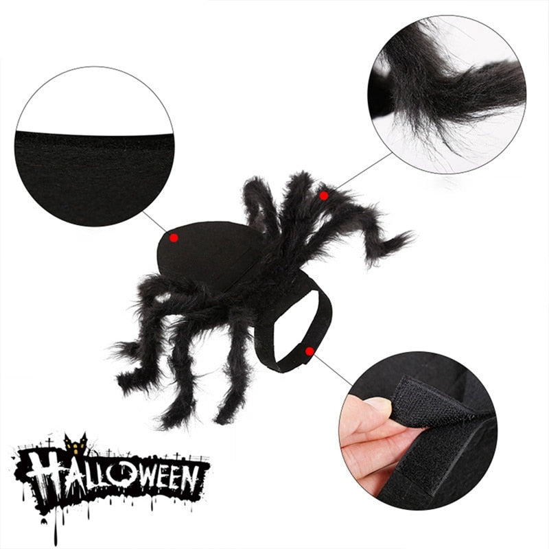 Spider Pet Costume for Halloween Funny Plush Look