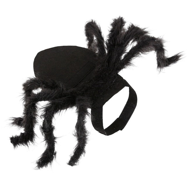 Spider Pet Costume for Halloween Funny Plush Look
