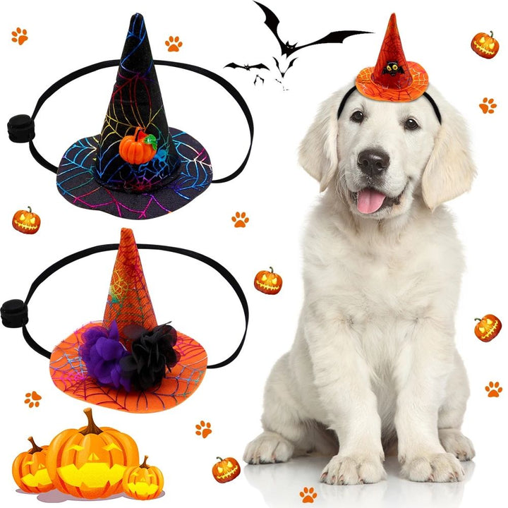Pet Halloween Witch Hat for Festive Costume Photos