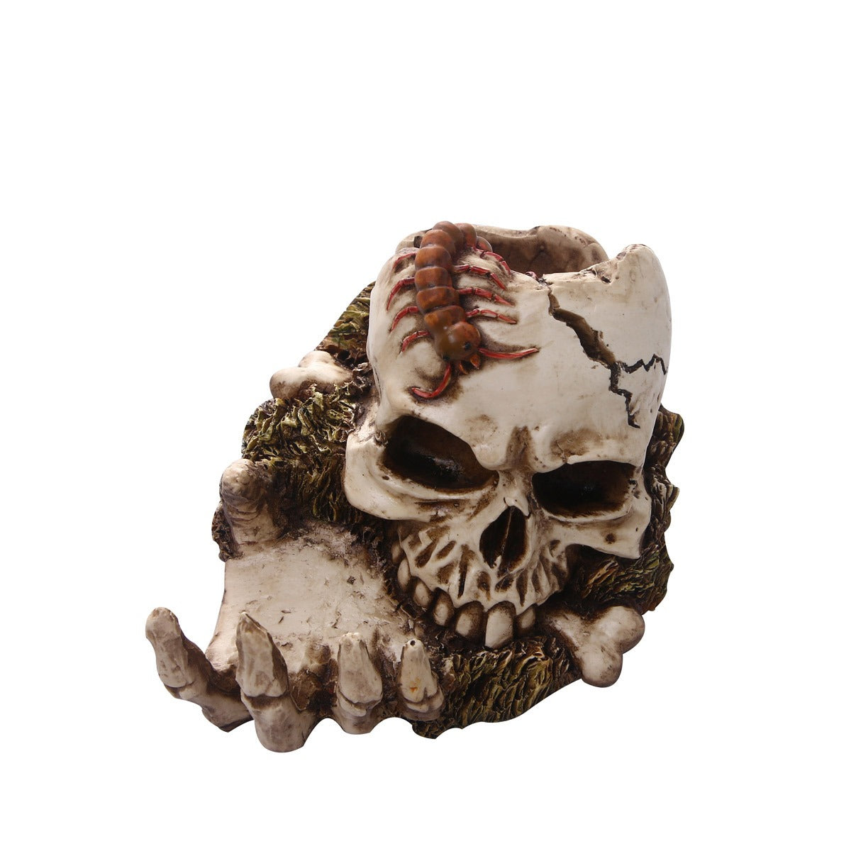 Decorative Skull Ornament With Gothic Hand Details