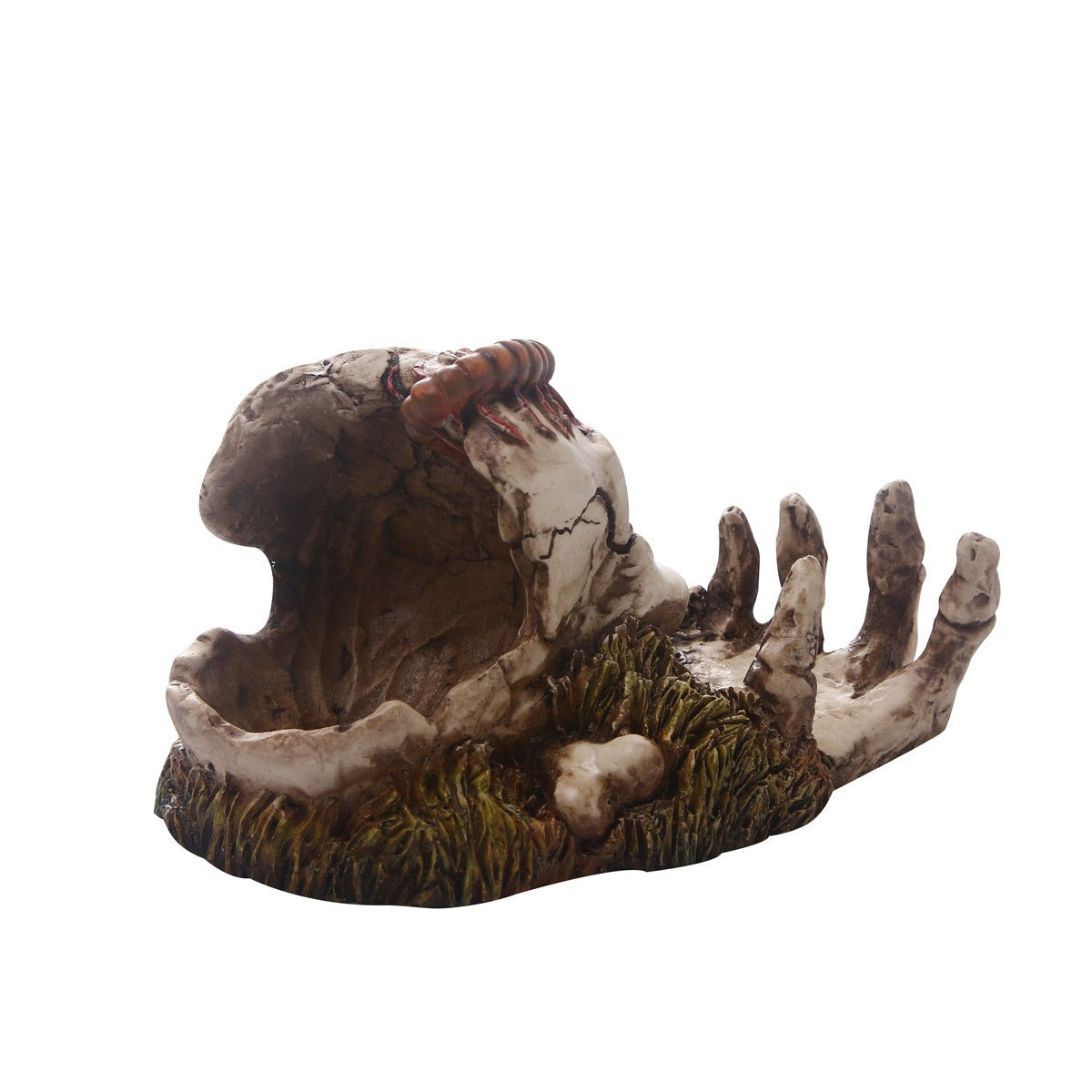 Decorative Skull Ornament With Gothic Hand Details