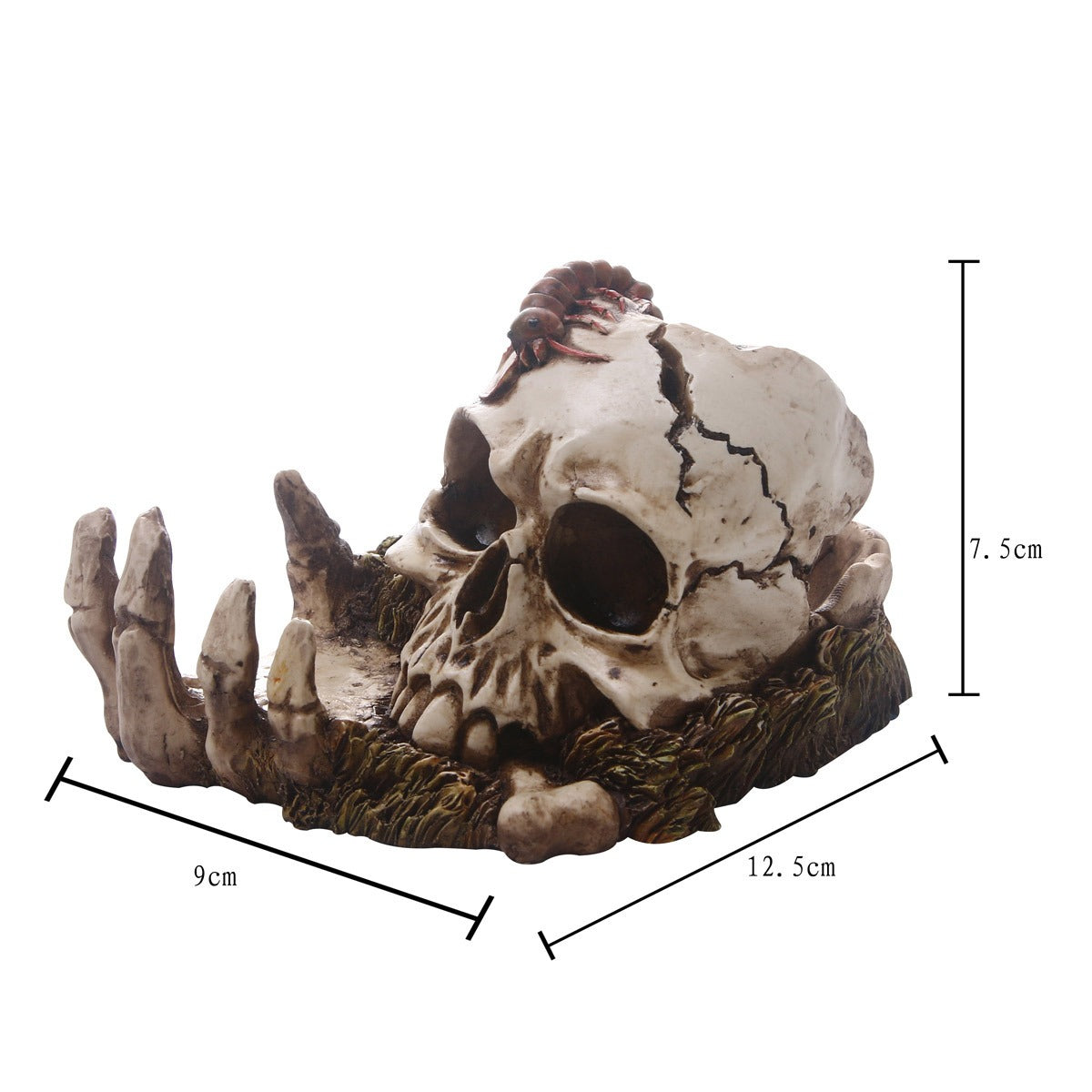 Decorative Skull Ornament With Gothic Hand Details