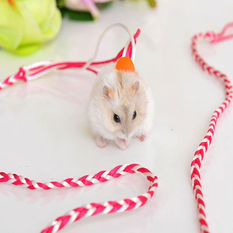 Small Pet Walking Rope for Bright, Supervised Play