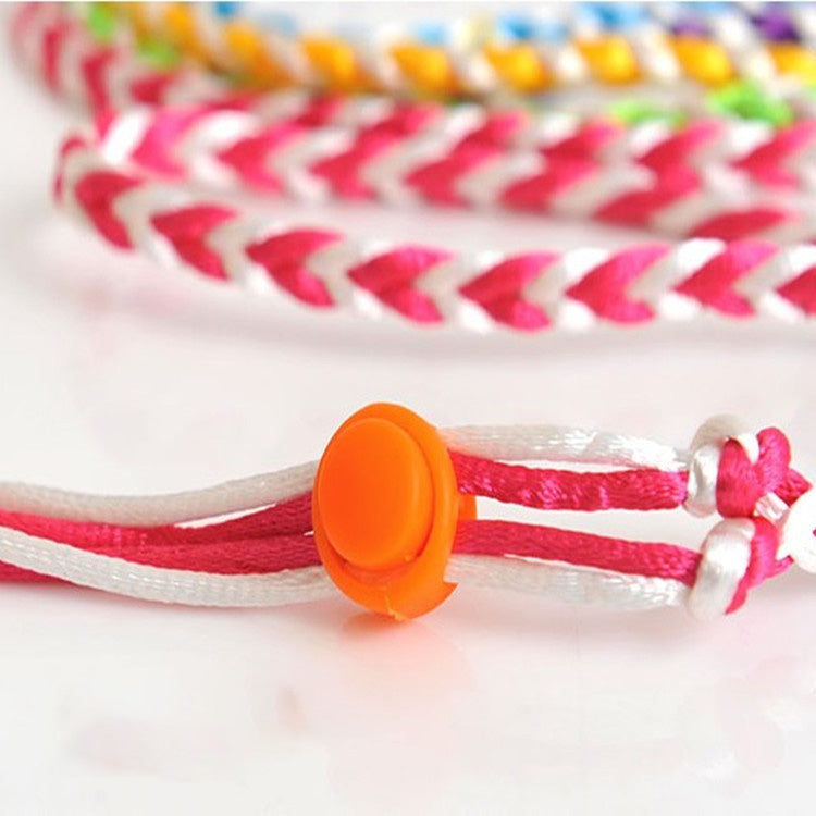 Small Pet Walking Rope for Bright, Supervised Play
