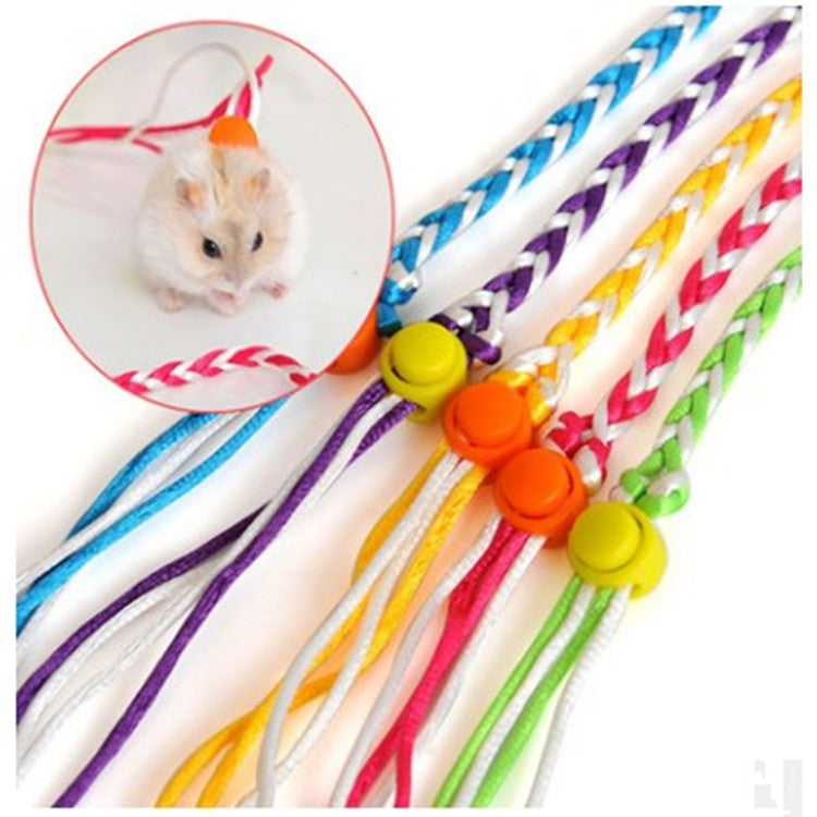 Small Pet Walking Rope for Bright, Supervised Play