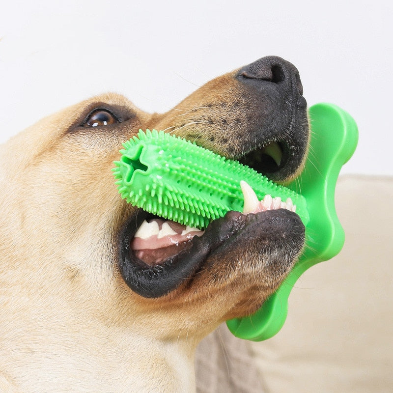 Small Dog Dental Chew Toy for Daily Teeth Cleaning