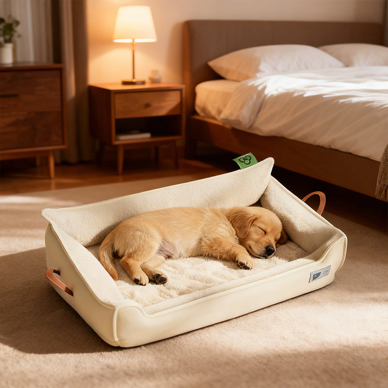 Heavy-Duty Dog Bed for Medium & Large Dogs | Portable