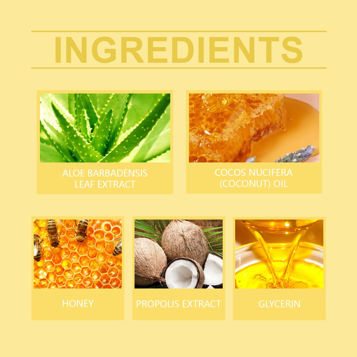 Honey Lip Balm for Dry Lips That Stays Non-Greasy All Day