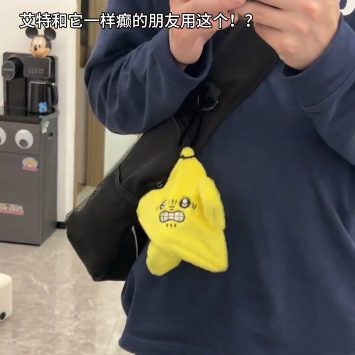 Dancing Star Plush Toy | Singing Glowing Novelty Gift