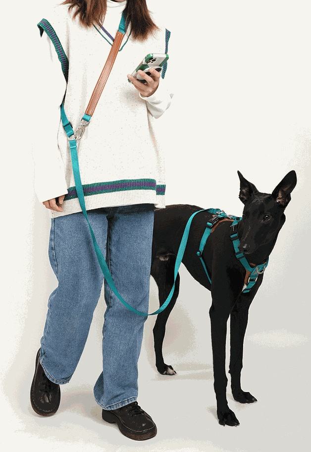 No-Pull Dog Harness Set for Confident Outdoor Walks