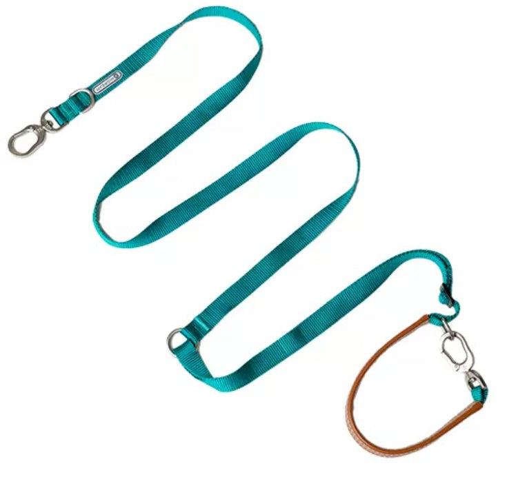 No-Pull Dog Harness Set for Confident Outdoor Walks