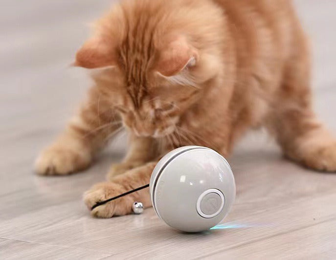 Interactive Cat Ball Toy for Daily Indoor Enrichment