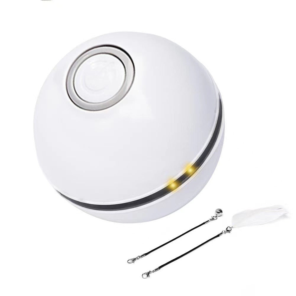 Interactive Cat Ball Toy for Daily Indoor Enrichment