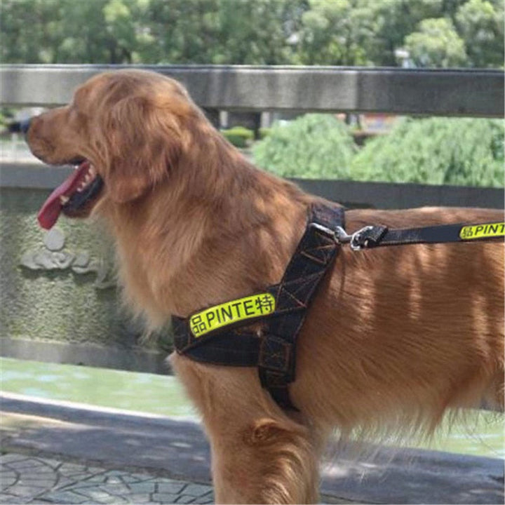 Reflective Dog Harness and Leash for Safer Daily Walks