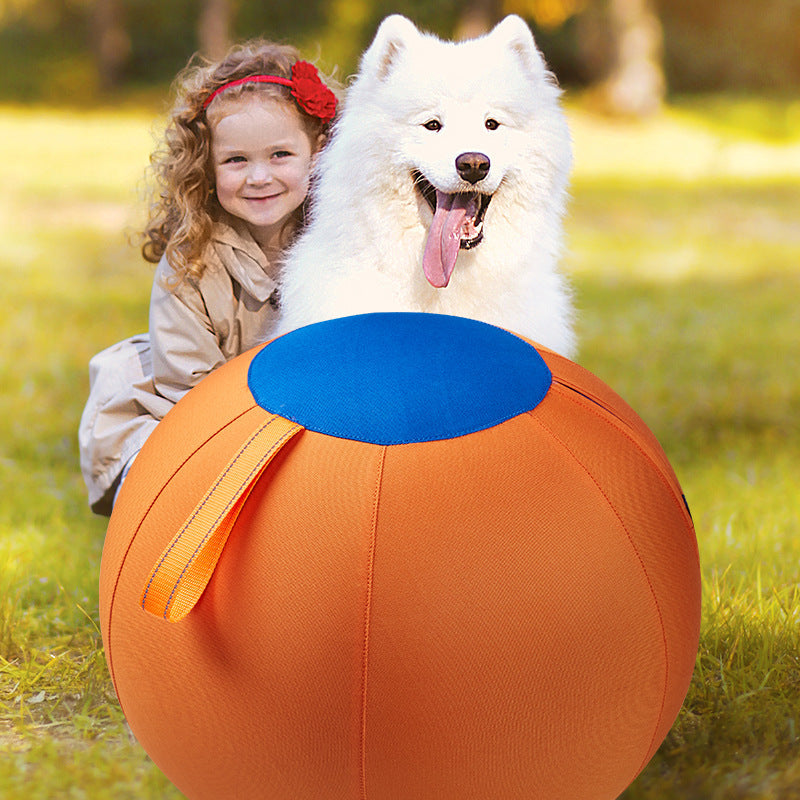Floating Fetch Ball for Dogs | Durable Outdoor Toy