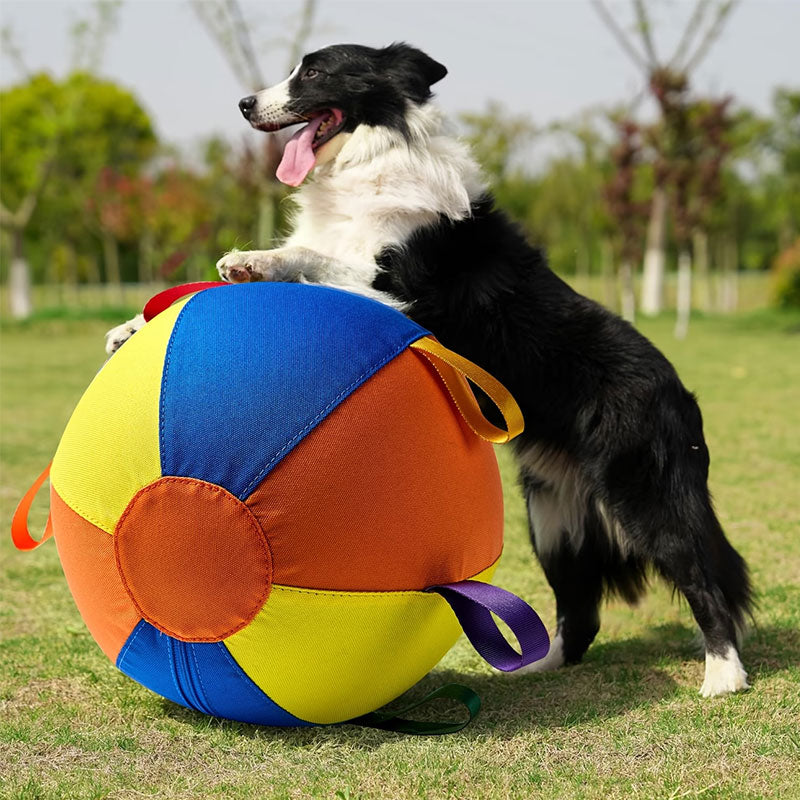 Floating Fetch Ball for Dogs | Durable Outdoor Toy