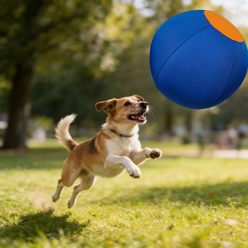 Floating Fetch Ball for Dogs | Durable Outdoor Toy