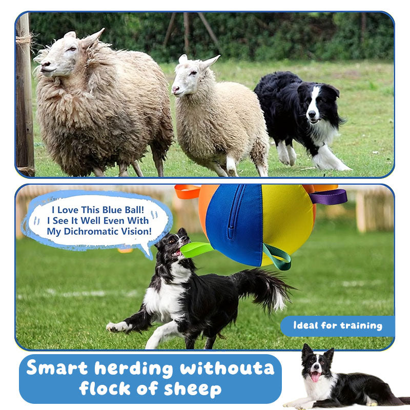 Floating Fetch Ball for Dogs | Durable Outdoor Toy