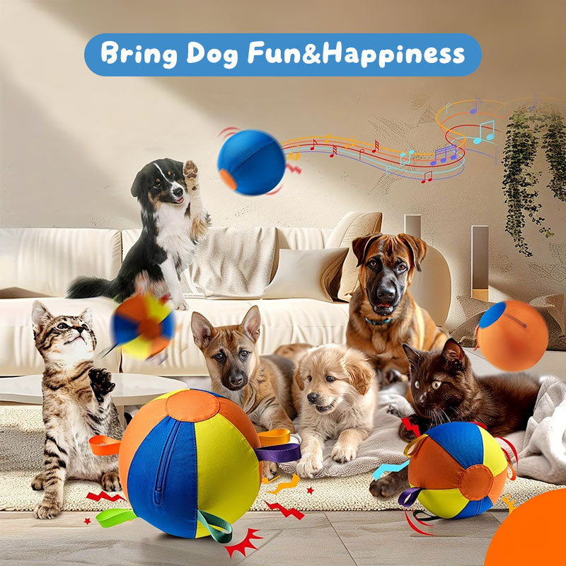Floating Fetch Ball for Dogs | Durable Outdoor Toy