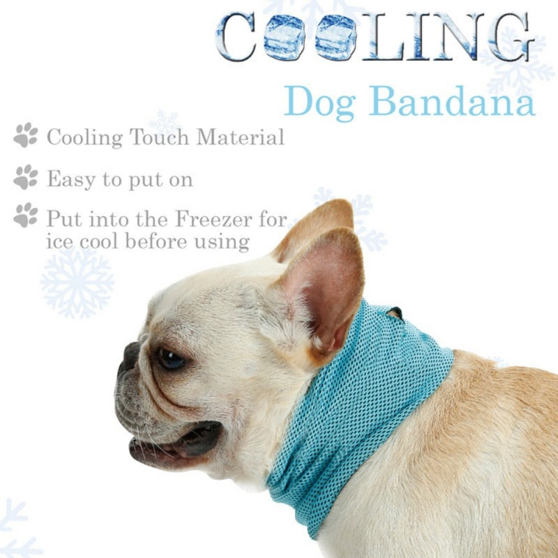 Dog Cooling Bandana for Instant Summer Heat Relief