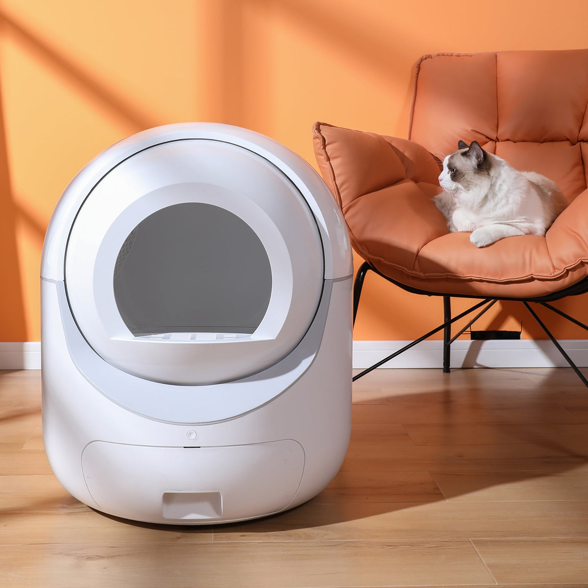 Self-Cleaning Cat Litter Box with App Control & Odor Removal