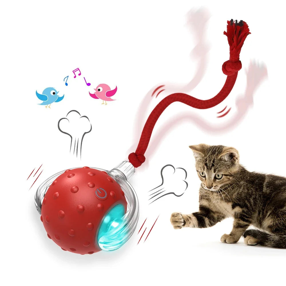 Interactive Cat Toy Ball with Chirping Bird Sound Mode