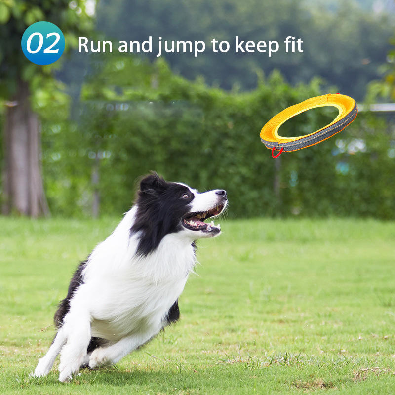 Interactive Dog Frisbee for Fetch & Outdoor Exercise