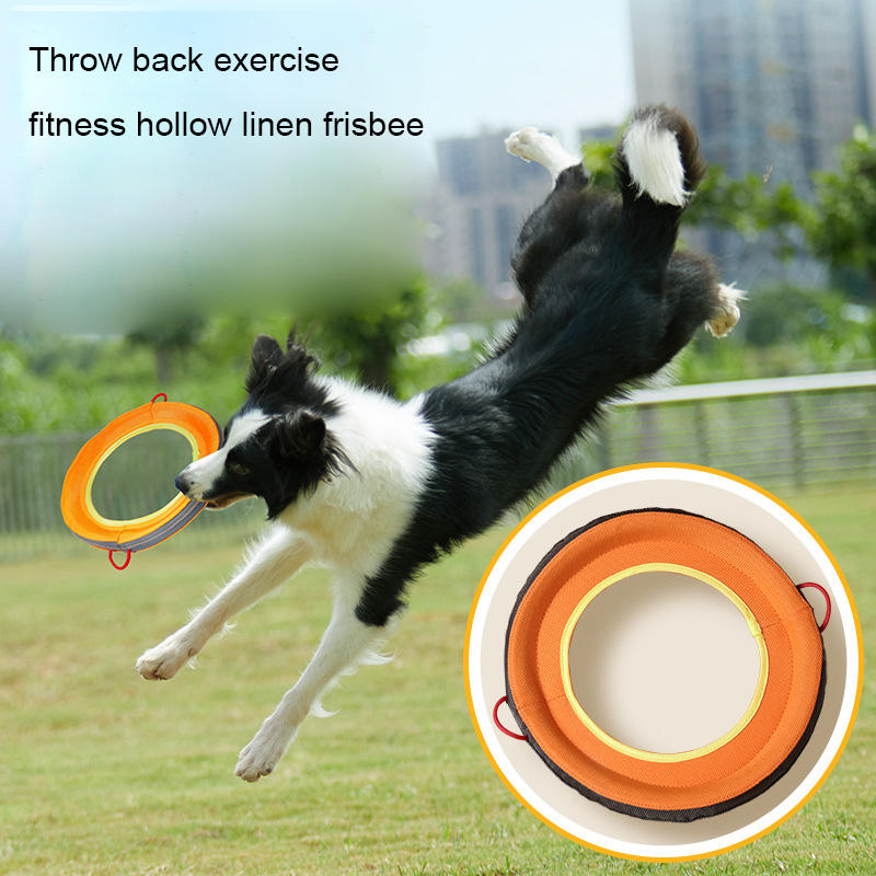 Interactive Dog Frisbee for Fetch & Outdoor Exercise