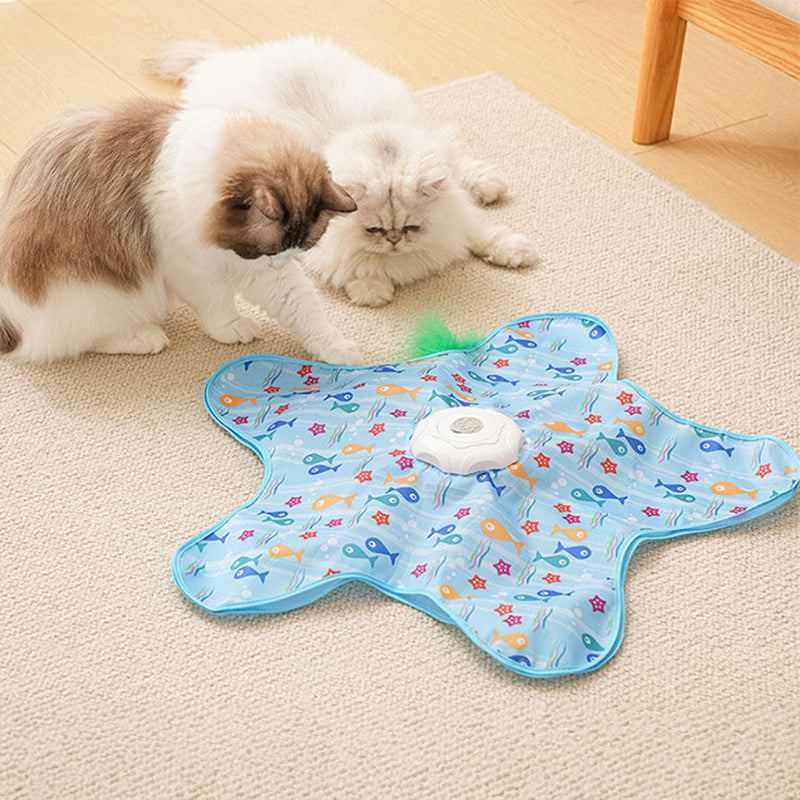 Interactive Cat Toy for Indoor Play and Chase Fun