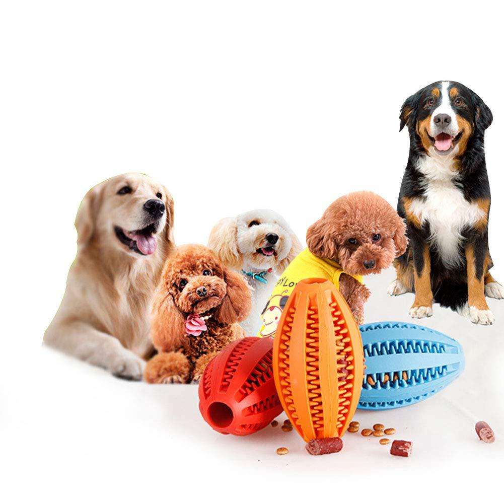 Interactive Dog Treat Ball for Better Daily Chew Play