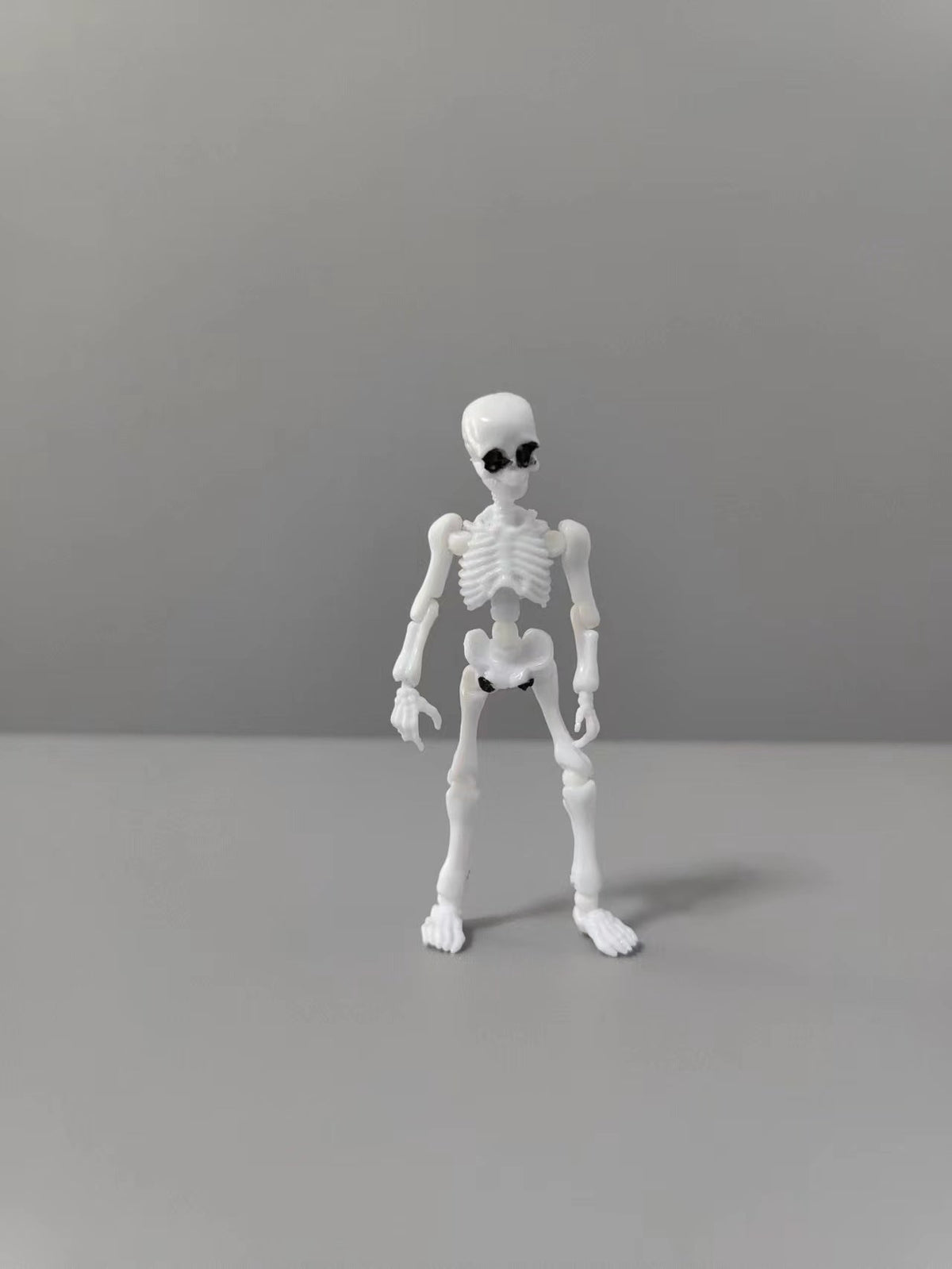 Poseable Skeleton Anatomy Toy for Hands-On Science Learning