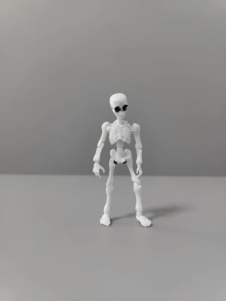 Poseable Skeleton Anatomy Toy for Hands-On Science Learning