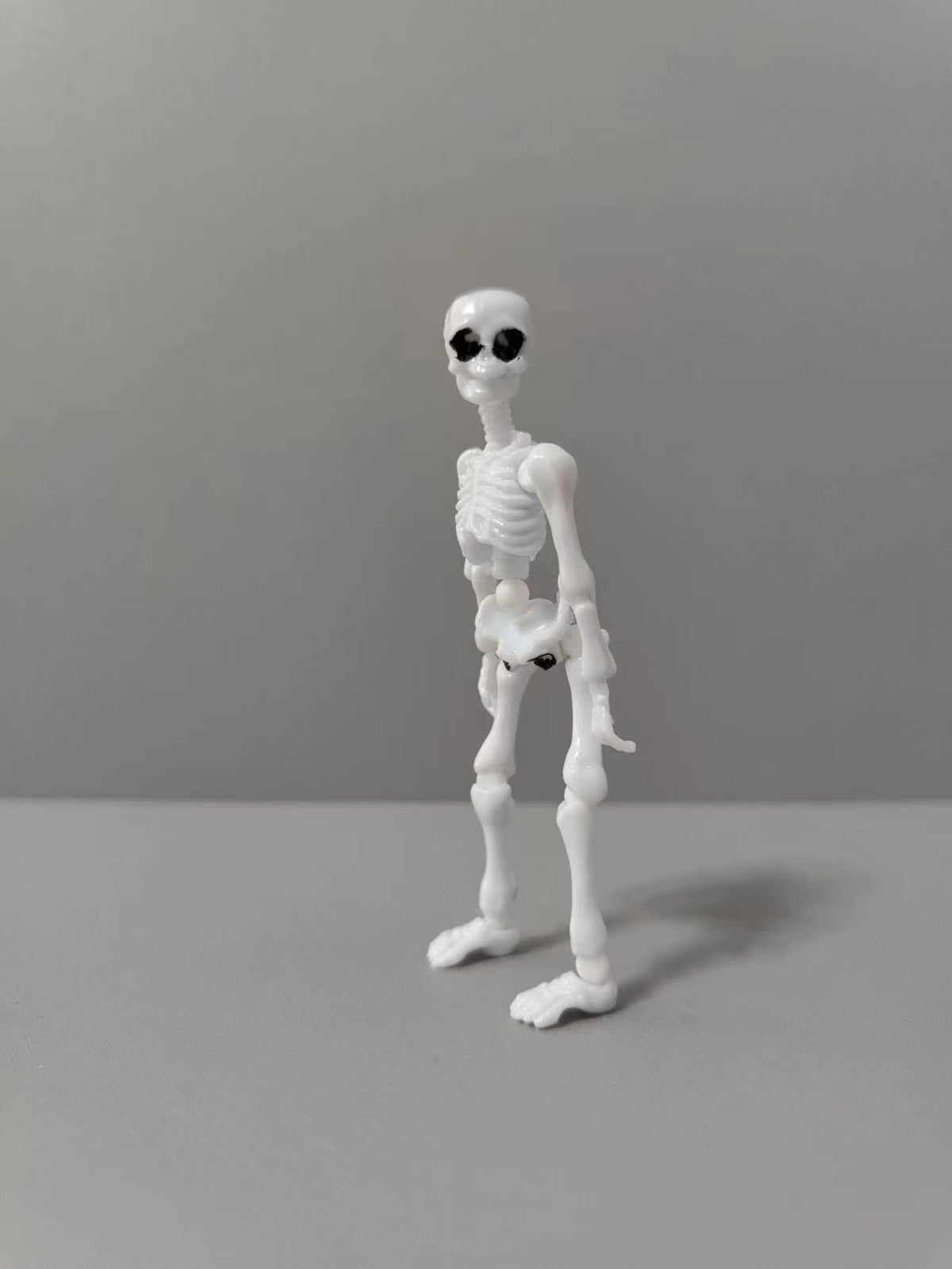 Poseable Skeleton Anatomy Toy for Hands-On Science Learning