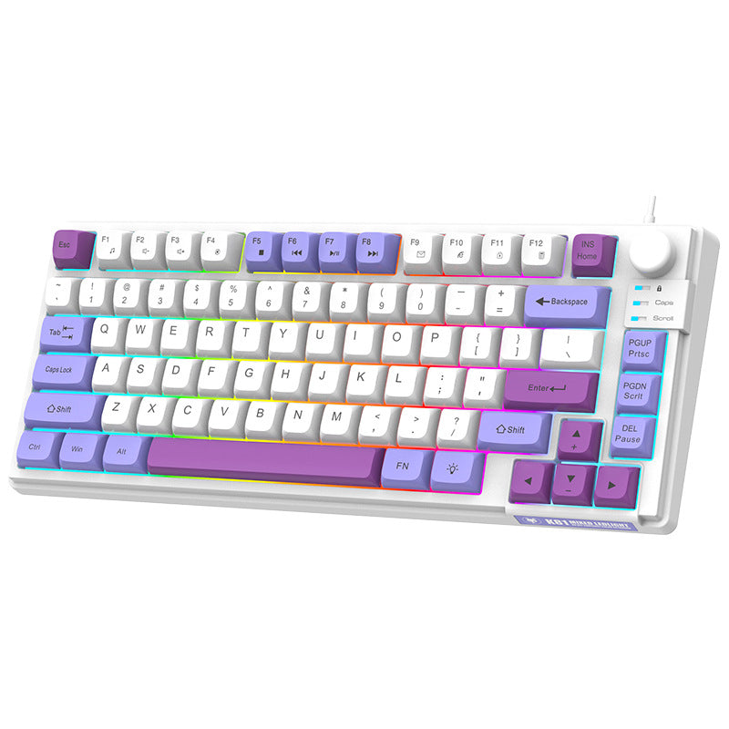 Compact 81-Key RGB Gaming Keyboard with Matching Keycaps