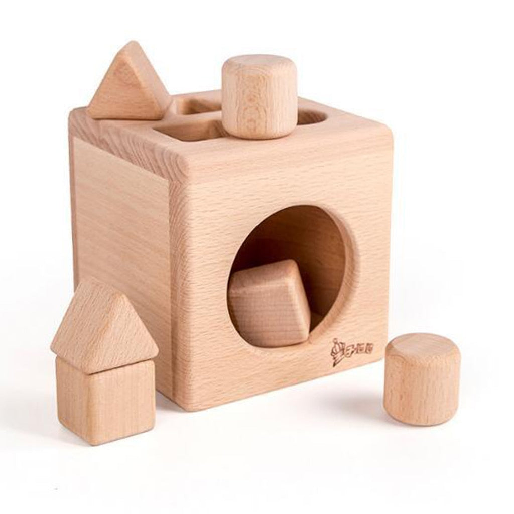 Wooden Shape Sorter Cube for Screen-Free Learning