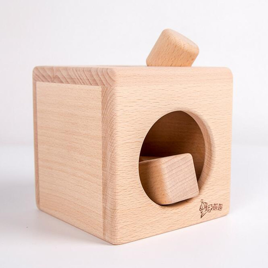 Wooden Shape Sorter Cube for Screen-Free Learning