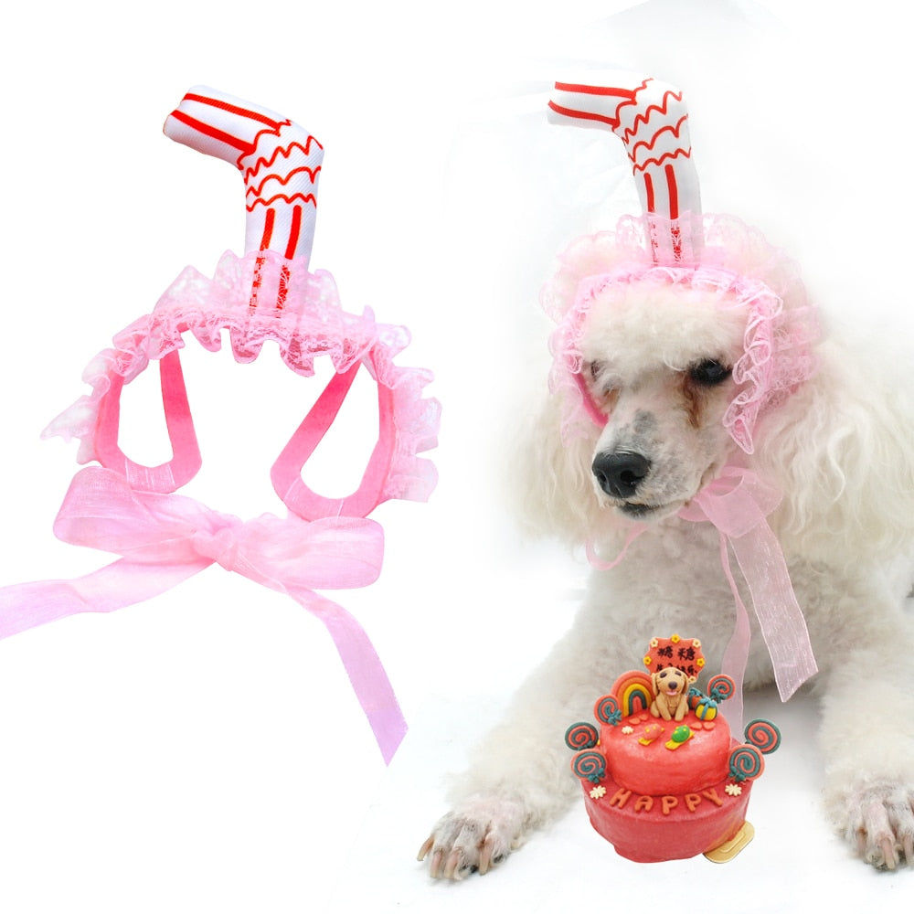 Lace Dog Birthday Hat With Ear Holes | Party Photos