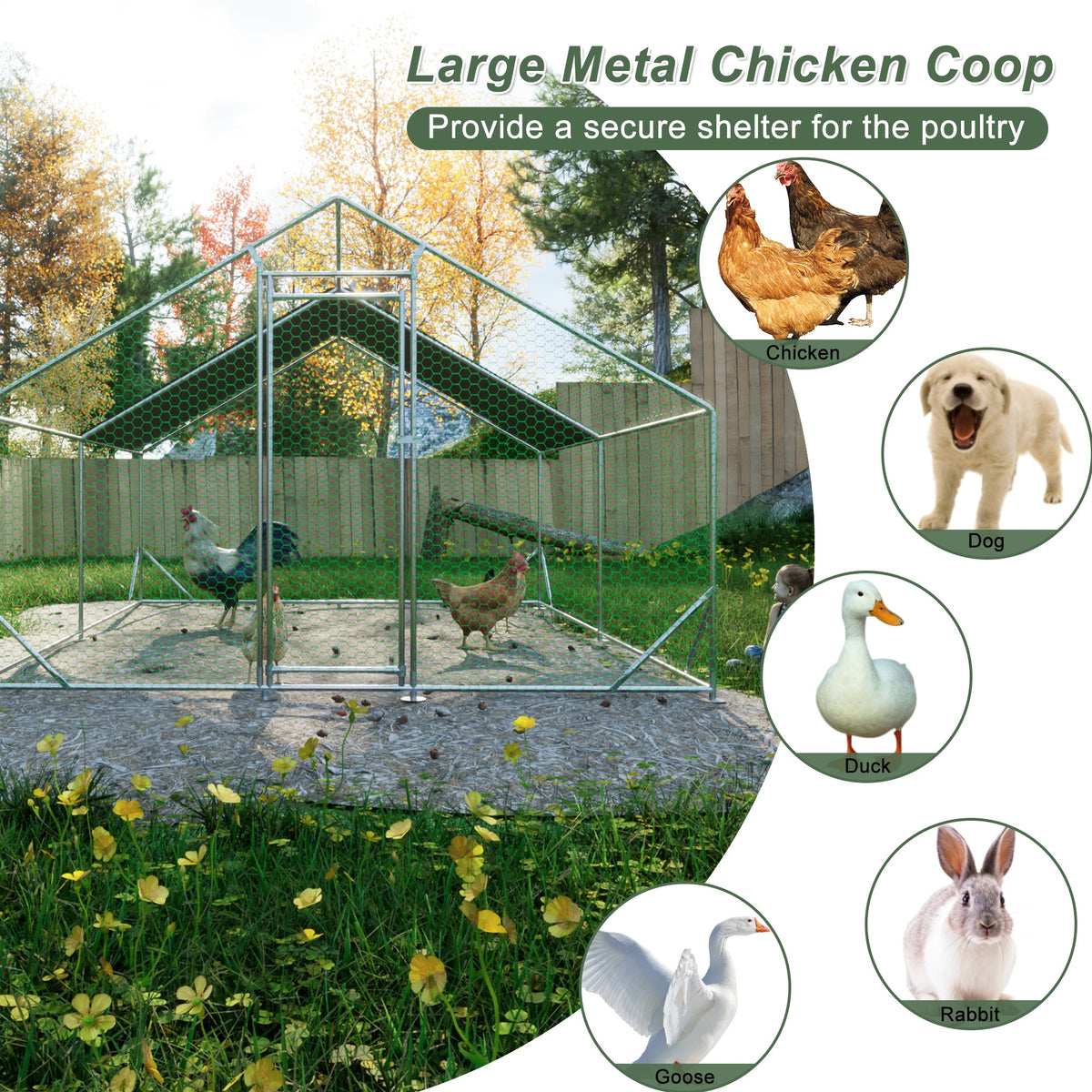Large Chicken Run With Weather-Resistant Shelter