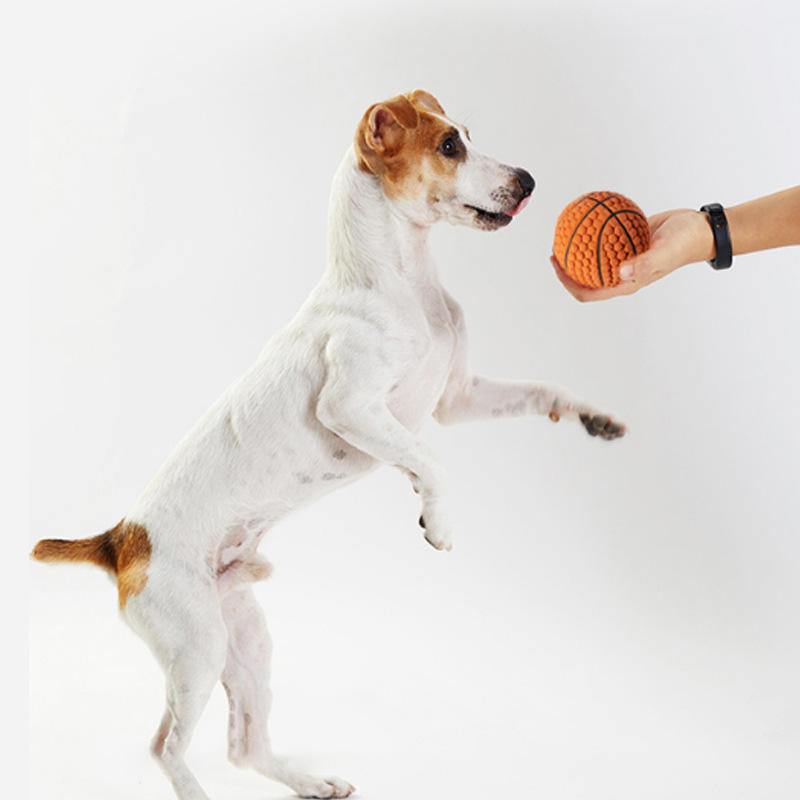 Textured Latex Dog Ball for Fetch, Chew & Boredom