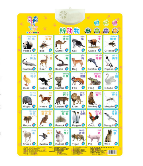 Interactive Learning Sound Wall Chart for Preschool Kids