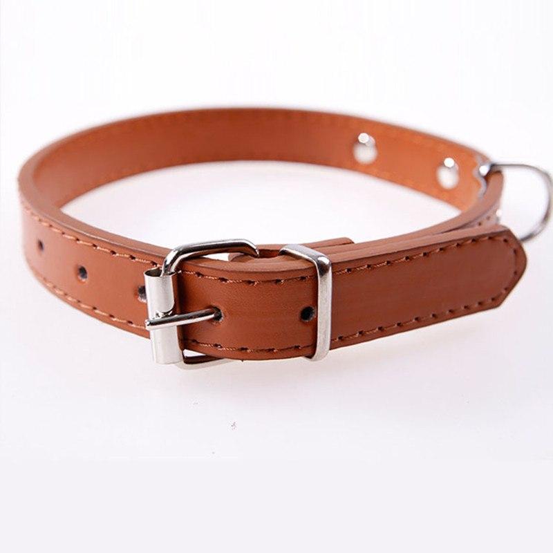 Custom Engraved Dog Collar for Puppies and Cats