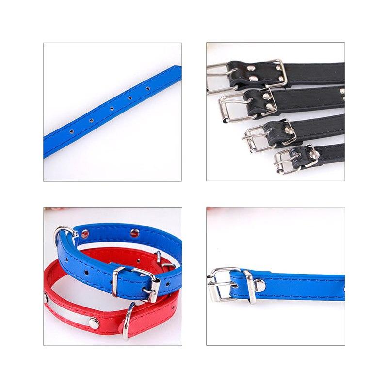 Custom Engraved Dog Collar for Puppies and Cats