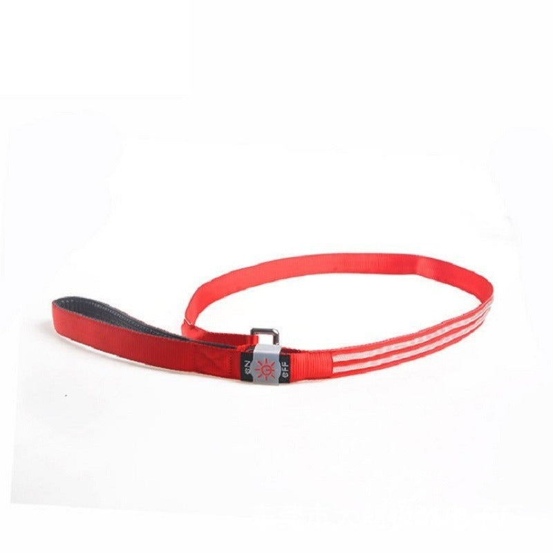 LED Dog Leash for Nighttime Visibility | USB Rechargeable