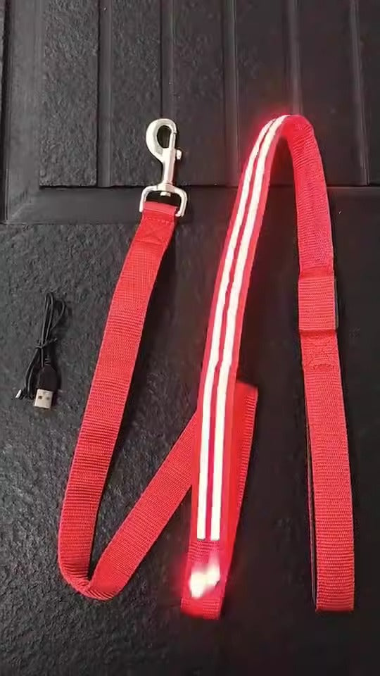 LED Dog Leash for Nighttime Visibility | USB Rechargeable