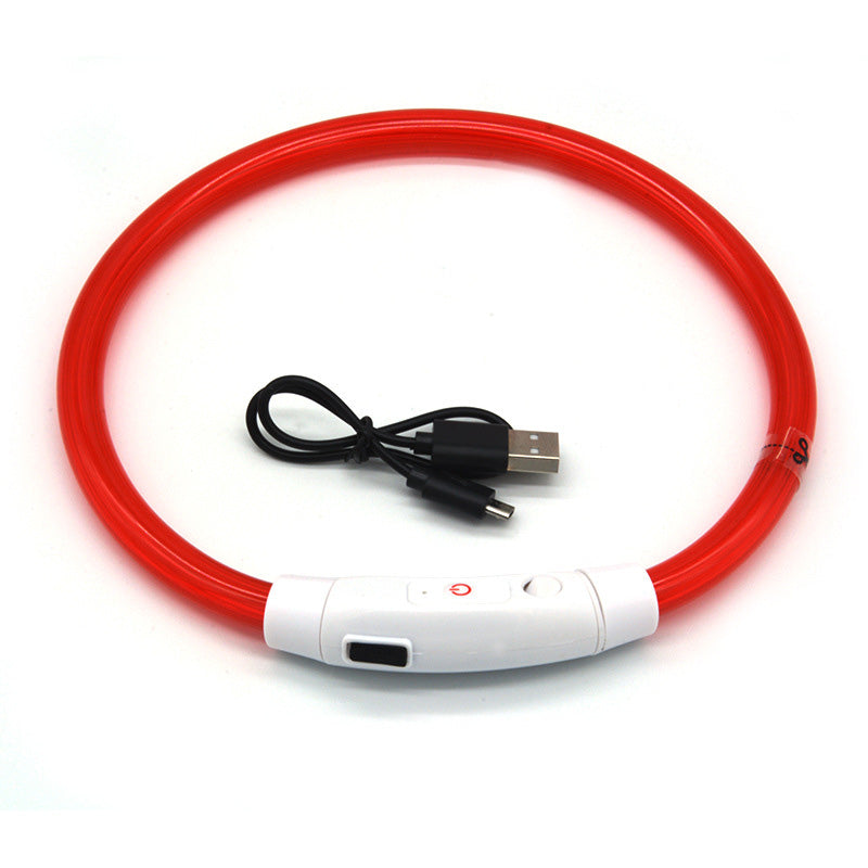 LED Dog Collar for Night Visibility, USB Rechargeable