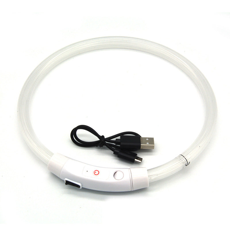 LED Dog Collar for Night Visibility, USB Rechargeable