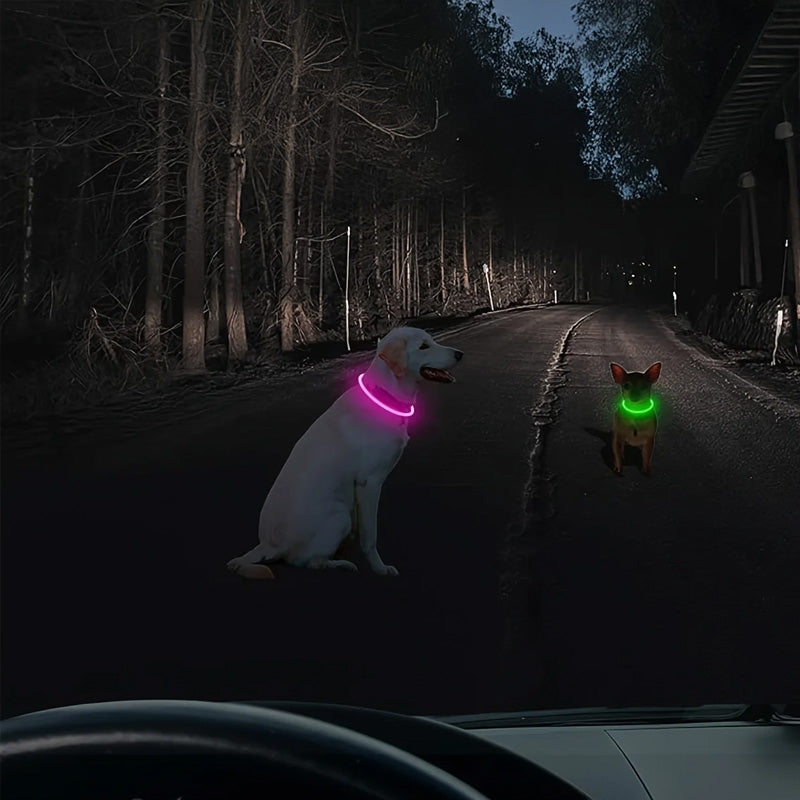 LED Dog Collar for Night Visibility, USB Rechargeable