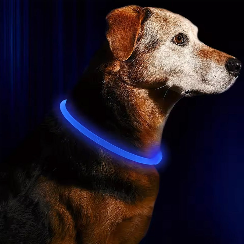 LED Dog Collar for Night Visibility, USB Rechargeable