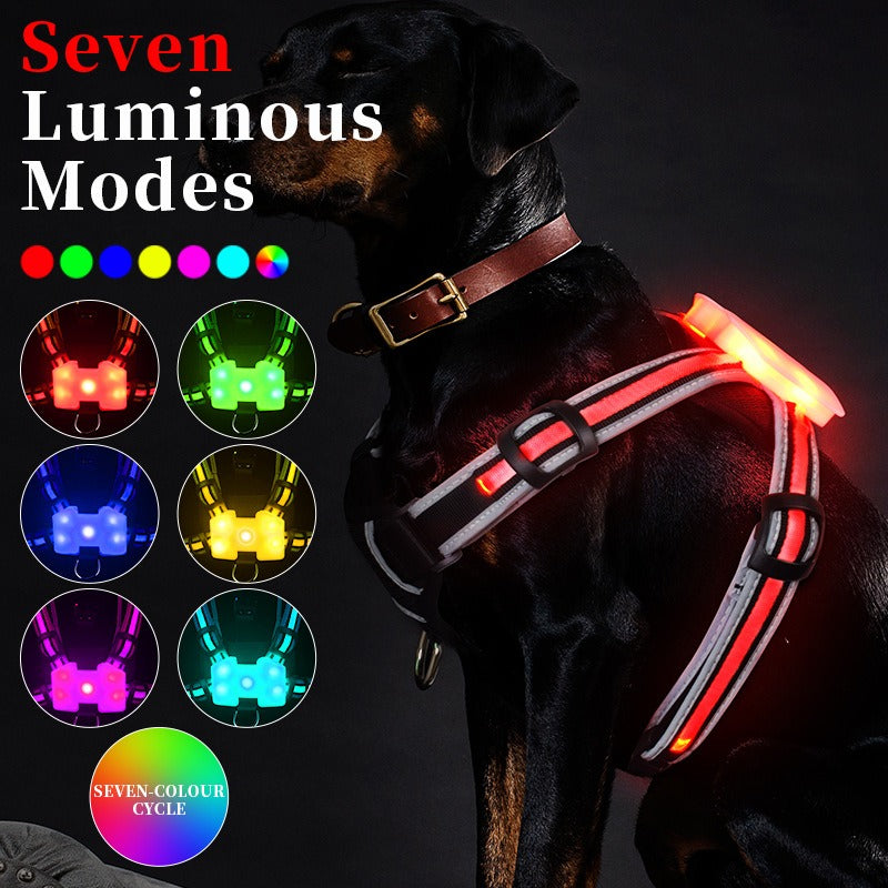 LED Dog Harness for Nighttime Walks, 7-Mode Glow
