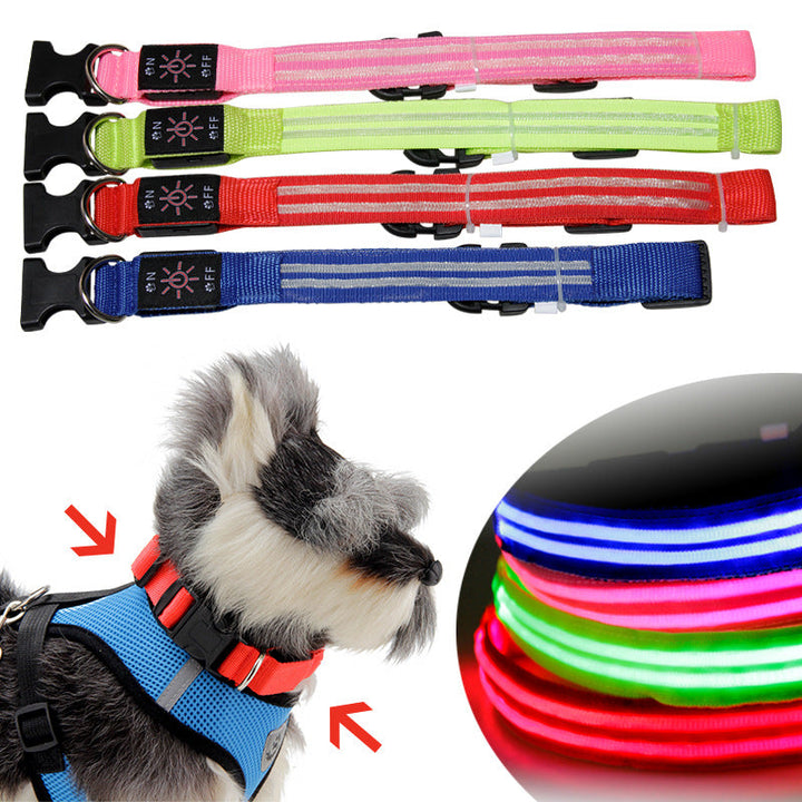 LED Dog Collar for Night Walks, USB Rechargeable Glow